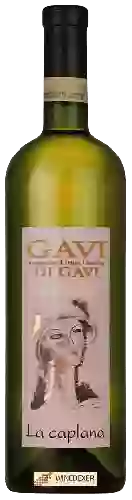 Winery La Caplana - Gavi