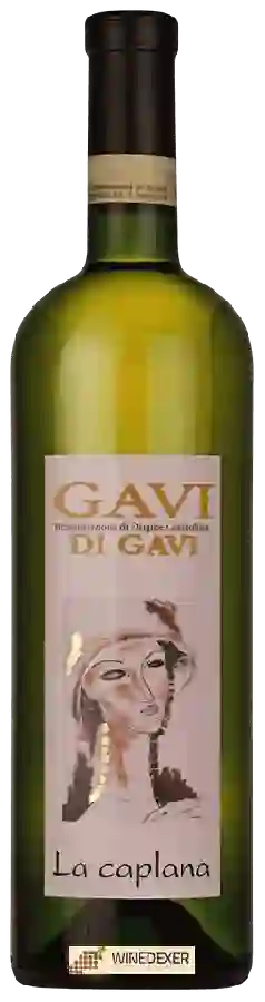 Winery La Caplana - Gavi