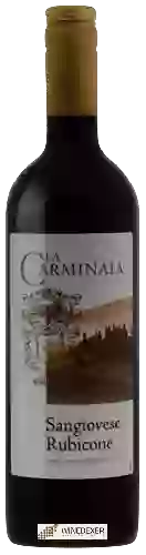 Winery La Carminaia - Sangiovese