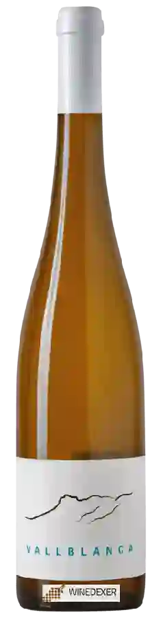 Winery La Casa de Las Vides - Vallblanca Winery La Casa de Las Vides - Vallblanca