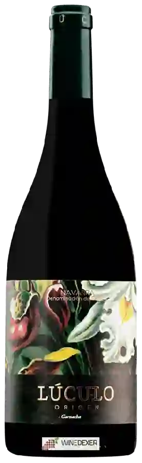 Winery La Casa de Lúculo - Origen Winery La Casa de Lúculo - Origen