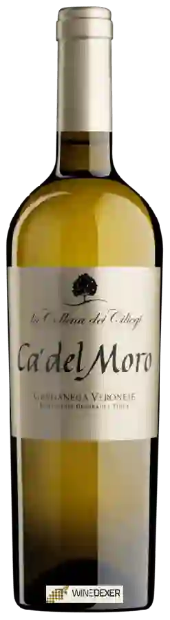 Winery La Collina dei Ciliegi - Ca'del Moro Garganega Veronese Winery La Collina dei Ciliegi - Ca'del Moro Garganega Veronese