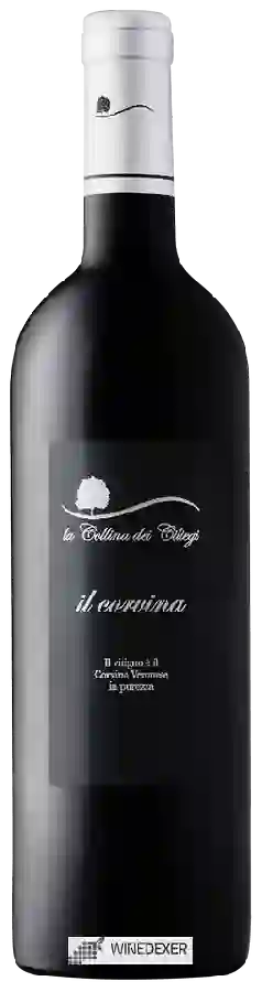 Winery La Collina dei Ciliegi - Il Corvina