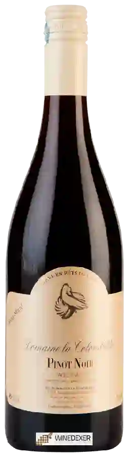 Domaine la Colombette - Pinot Noir Domaine la Colombette - Pinot Noir