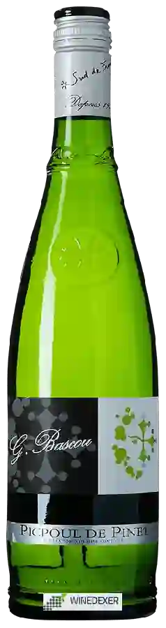 Winery Condamine l'Eveque - Guy Bascou Picpoul-de-Pinet