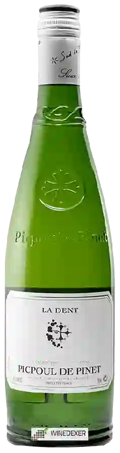 Winery Condamine l'Eveque - La Dent Picpoul de Pinet