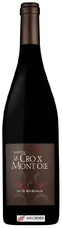 Domaine La Croix Montjoie - Irancy