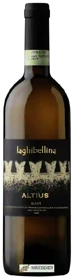 Winery La Ghibellina - Altius Gavi