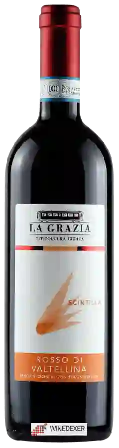 Winery La Grazia - Scintilla Rosso di Valtellina Winery La Grazia - Scintilla Rosso di Valtellina