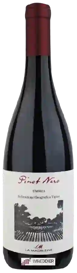 Winery La Madeleine - Pinot Nero Winery La Madeleine - Pinot Nero