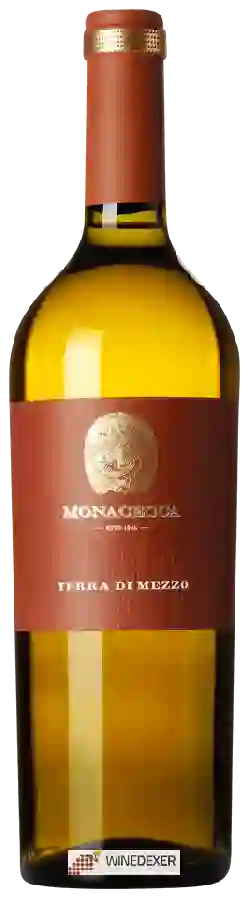 Winery La Monacesca - Terra di Mezzo