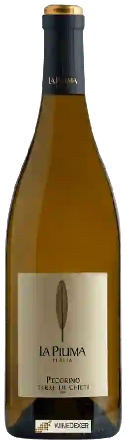 Winery La Piuma - Pecorino Terre di Chieti