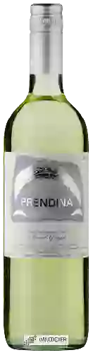 Winery La Prendina - Pinot Grigio Provincia di Mantova
