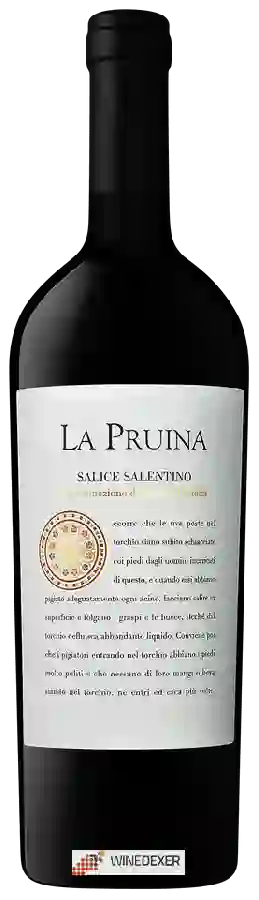 Winery La Pruina - Salice Salentino Winery La Pruina - Salice Salentino