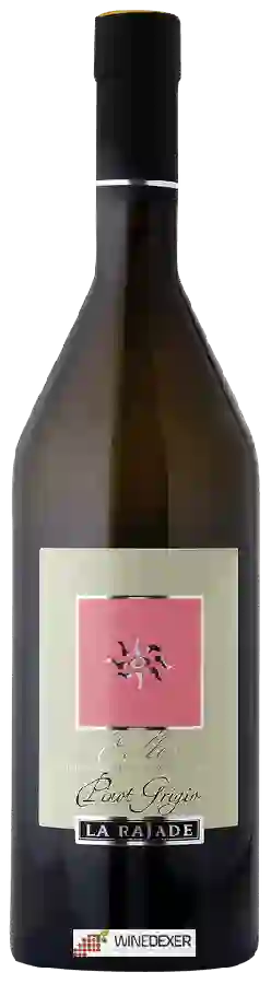Winery La Rajade - Pinot Grigio