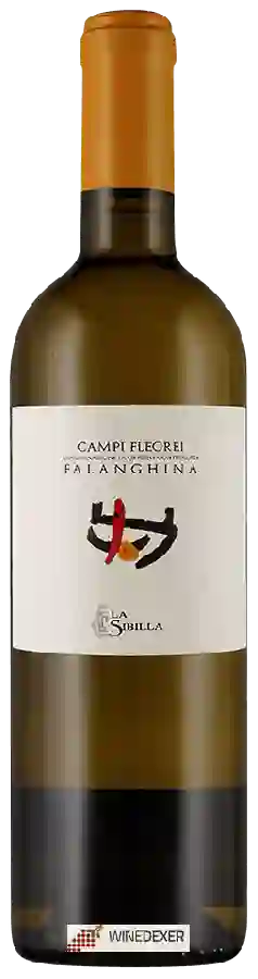 Winery La Sibilla - Falanghina Campi Flegrei Winery La Sibilla - Falanghina Campi Flegrei