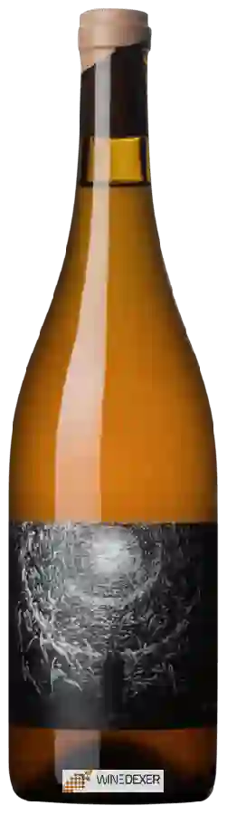 Winery La Sorga - Gel III Winery La Sorga - Gel III