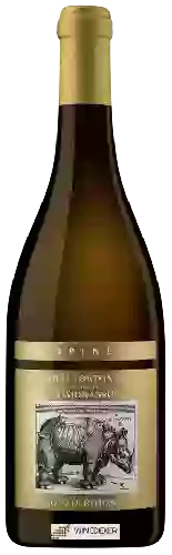 Winery La Spinetta - Piccola Derthona Timorasso