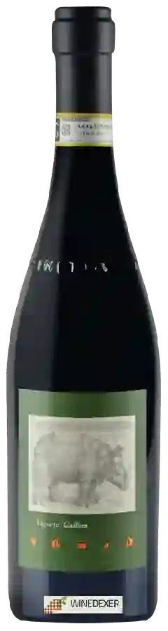 Winery La Spinetta - Vürsù Barbaresco Gallina