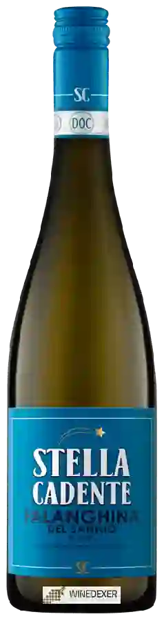 Winery La Stella Cadente - Falanghina del Sannio