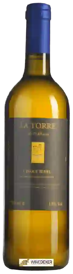 Winery La Torre di Albana - Cinque Terre Winery La Torre di Albana - Cinque Terre