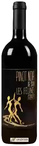 Winery La Torrentière - Pinot Noir de Sion Les Félines