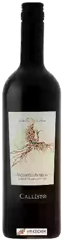 Winery Les Vignerons de la Vicomté - Callisto Rouge