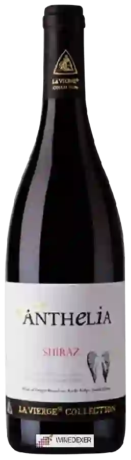 Winery La Vierge - Anthelia Shiraz
