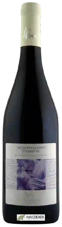 Winery La Vinarte - Montepulciano d'Abruzzo
