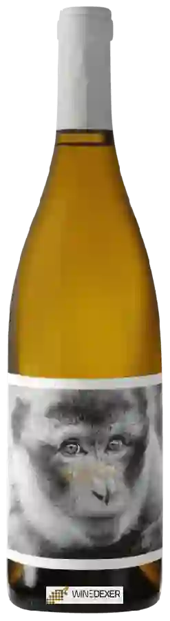 Winery La Vinyeta - Katy Winery La Vinyeta - Katy