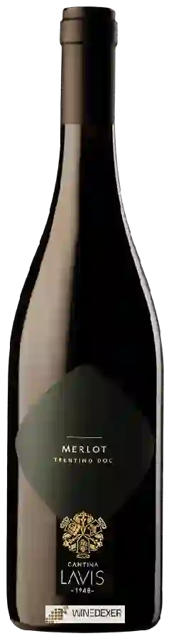 Winery Cantina La-Vis - Merlot Winery Cantina La-Vis - Merlot