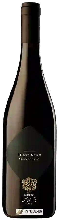 Winery Cantina La-Vis - Pinot Nero