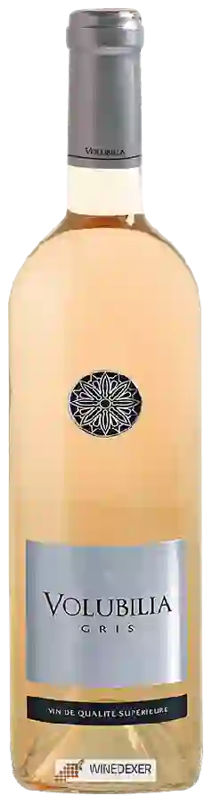 Domaine de la Zouina - Volubilia Gris Domaine de la Zouina - Volubilia Gris