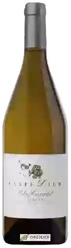Winery Laballe - Domaine Cazalet Carpe Diem