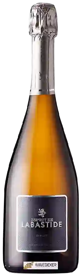 Winery Labastide de Levis - Esprit de Labastide Blanc de Blancs Brut