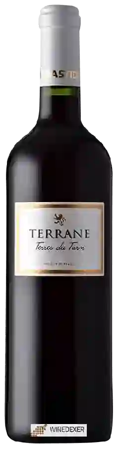 Winery Labastide de Levis - Terrane Terres du Tarn Rouge Winery Labastide de Levis - Terrane Terres du Tarn Rouge