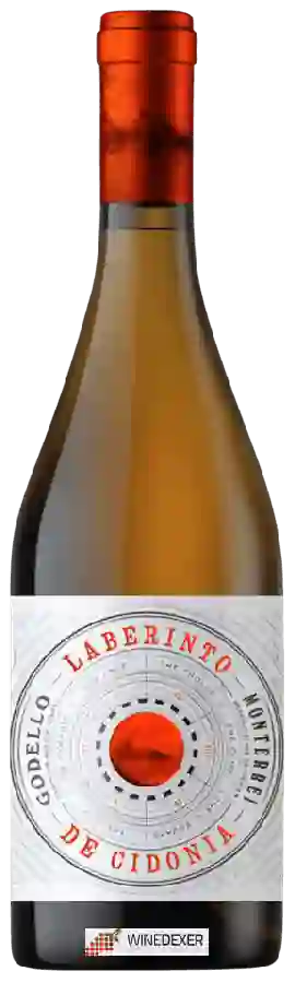 Winery Laberinto de Cidonia - Godello