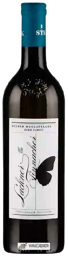 Winery Lackner Tinnacher - Gelber Muskateller Ried Gamitz Winery Lackner Tinnacher - Gelber Muskateller Ried Gamitz