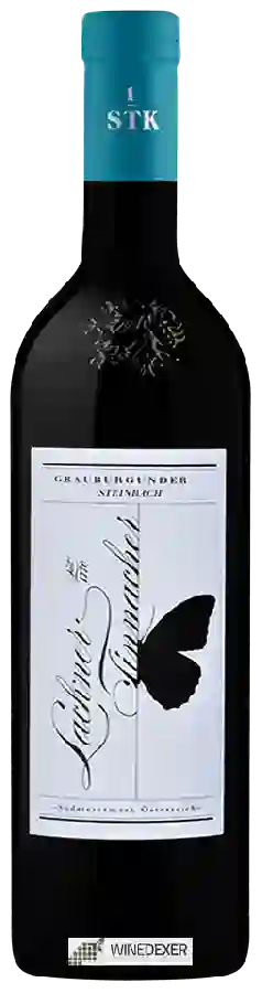 Winery Lackner Tinnacher - Grauburgunder Ried Steinbach