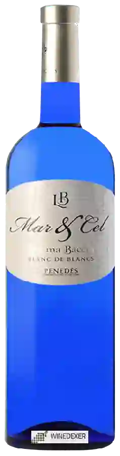 Winery Lacrima Baccus - Mar & Cel Blanc de Blancs