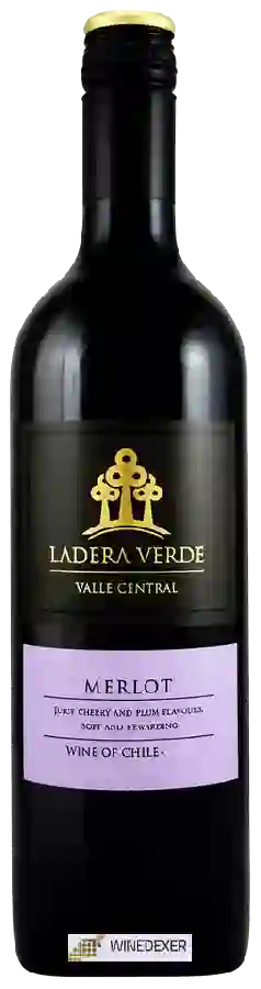 Winery Ladera Verde - Merlot