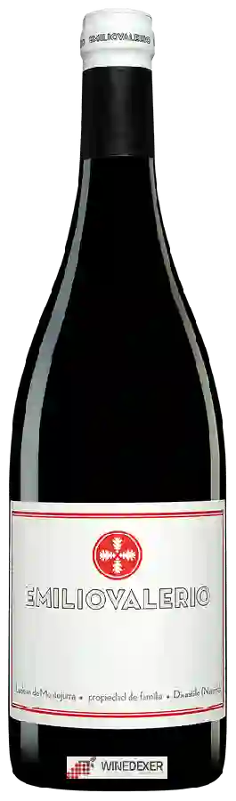 Winery Laderas de Montejurra - Emilio Valerio