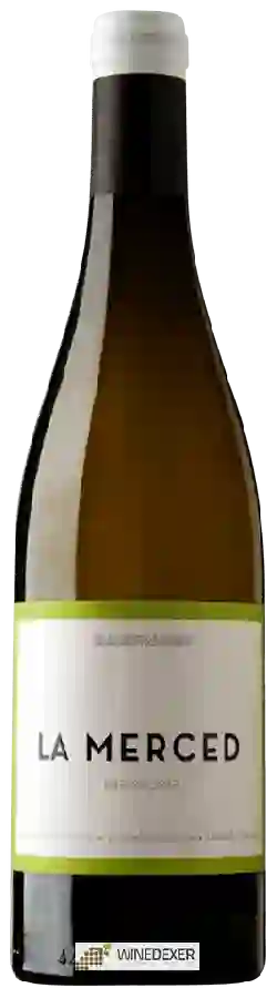 Winery Laderas de Montejurra - La Merced