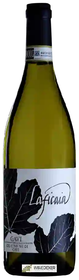 Winery Laficaia - Gavi Winery Laficaia - Gavi