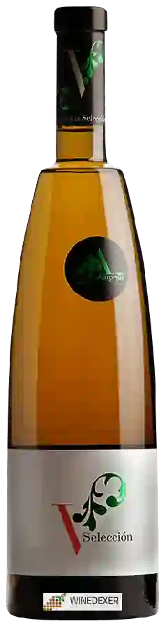 Winery Lagar d'Amprius - Vendimia Seleccion Winery Lagar d'Amprius - Vendimia Seleccion