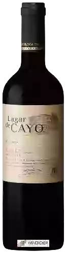 Winery Lagar de Cayo - Crianza