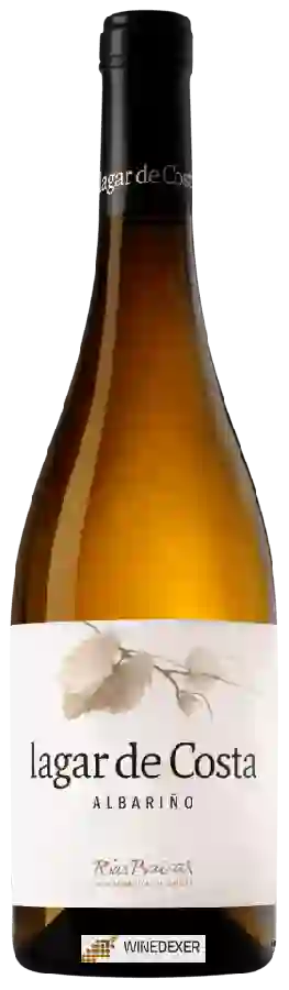 Winery Lagar de Costa - Albariño Winery Lagar de Costa - Albariño