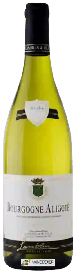 Winery Lamblin & Fils - Bourgogne Aligoté Winery Lamblin & Fils - Bourgogne Aligoté