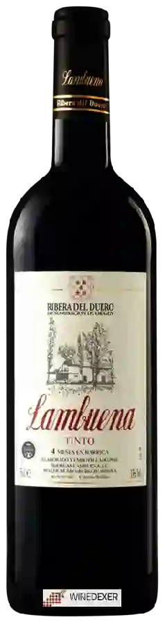 Winery Lambuena - Tinto Winery Lambuena - Tinto