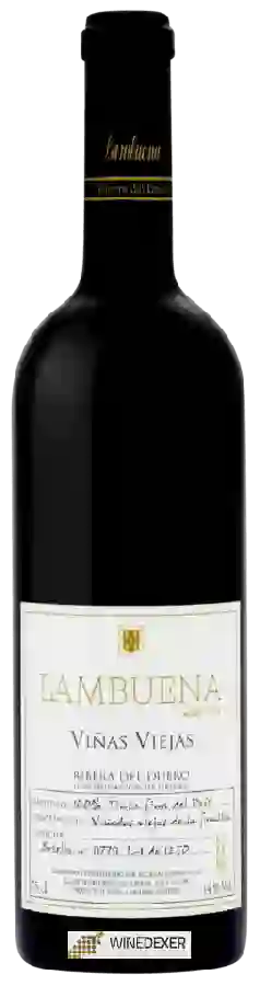 Winery Lambuena - Viñas Viejas